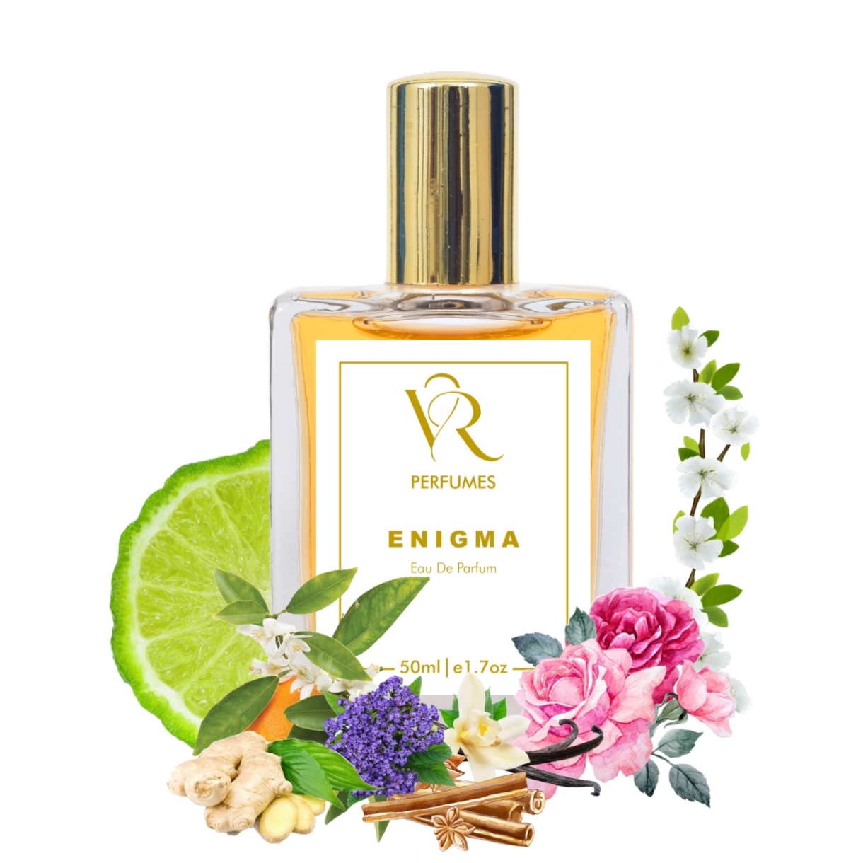 Enigma